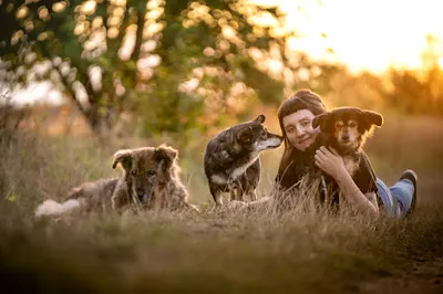Za Pies Brat Milena Piwowarczyk